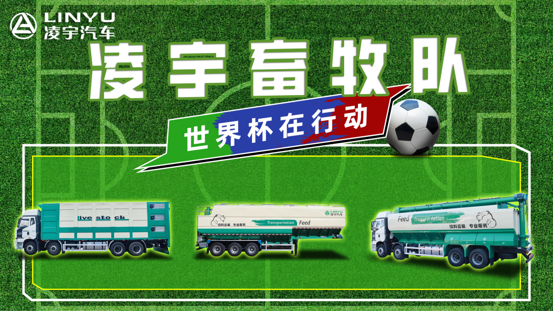 奪冠世界杯！你注意到這支球隊(duì)了嗎？